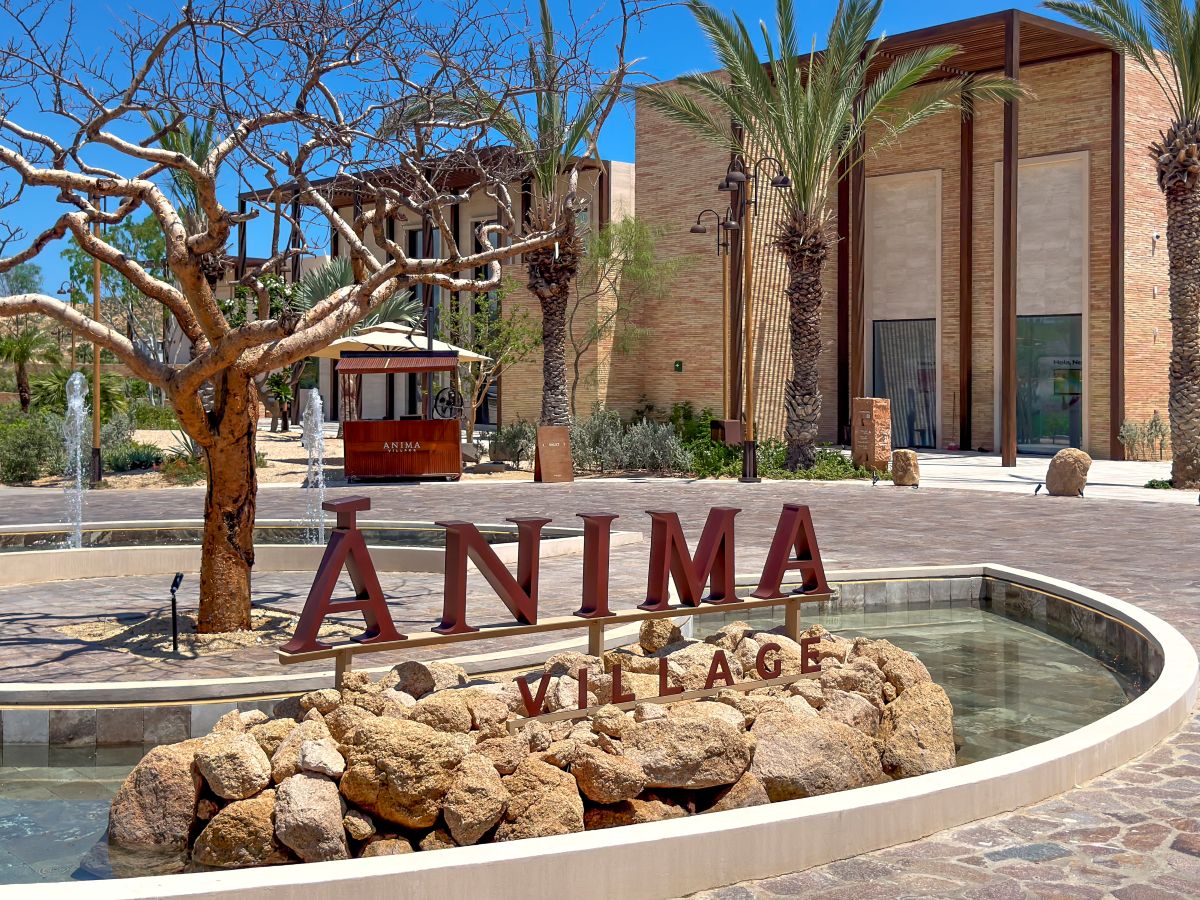 Things To Do Ánima Village - Best Shopping in Cabo