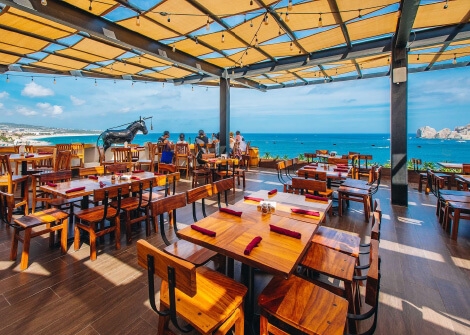 Things To Do Baja Brewing