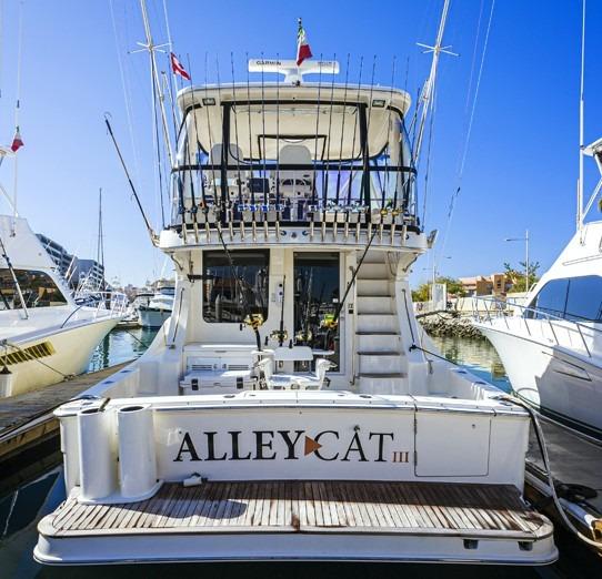 Things To Do AlleyCat