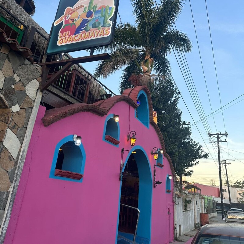 Things To Do Las Guacamayas - San José del Cabo