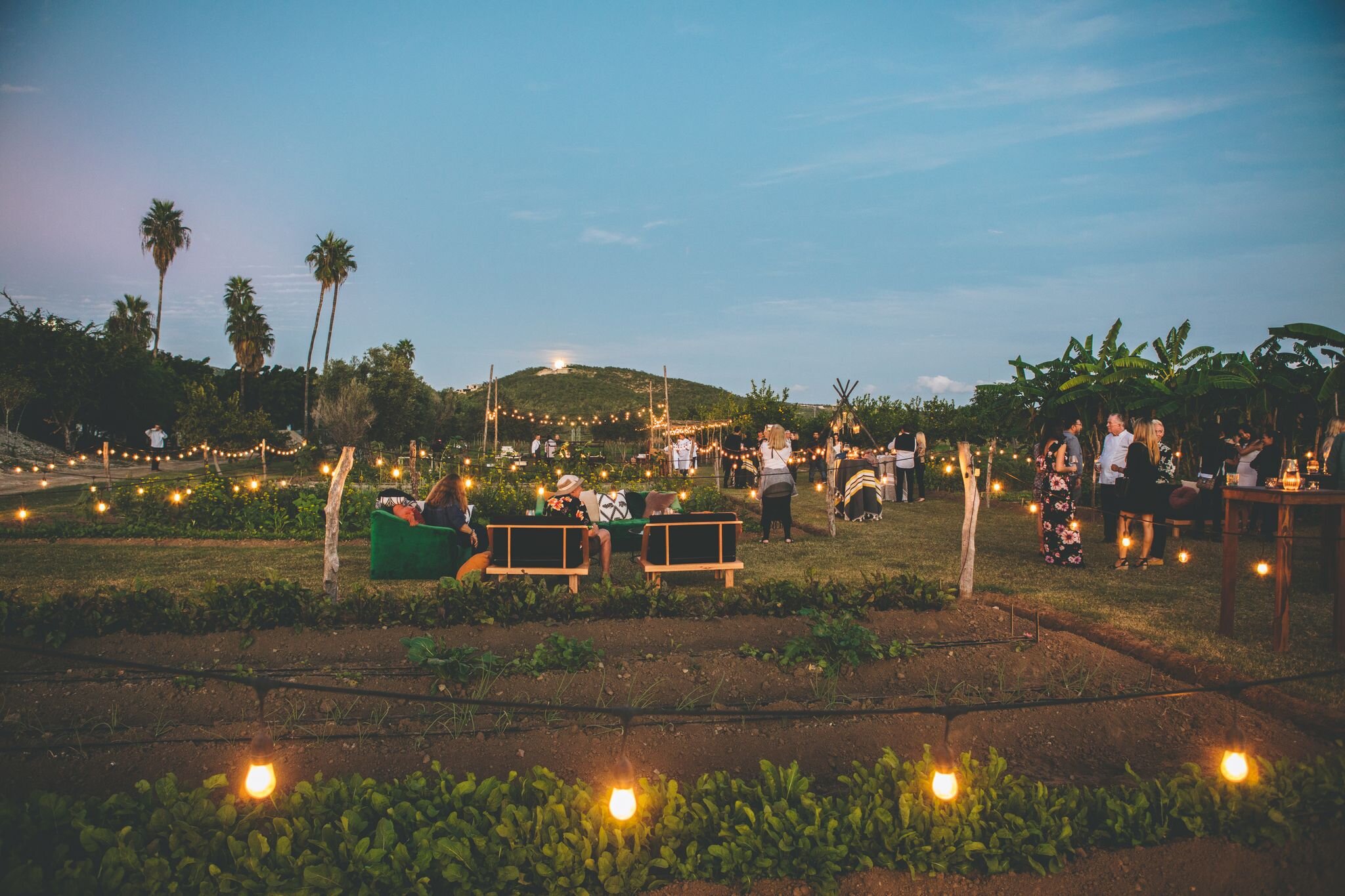 Things To Do Tamarindos