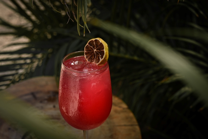 Things To Do Cabo's Top 5 Late-Night Hangout Spots