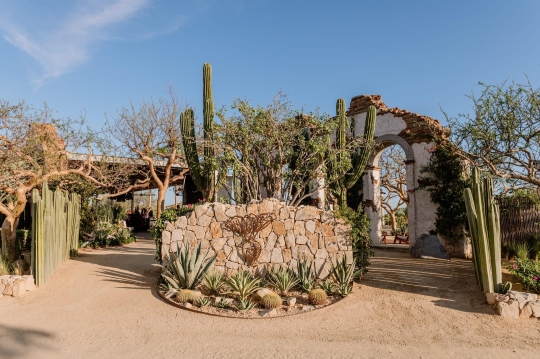 Things To Do El Huerto