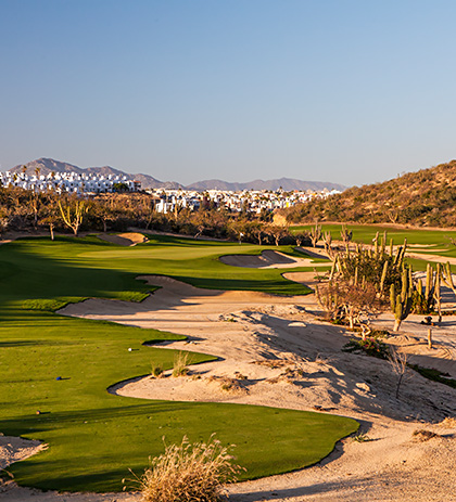 Things To Do Quivira Country Club