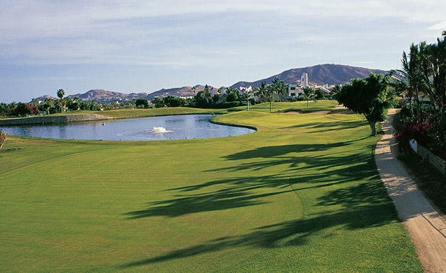 Things To Do Vidanta Golf Course