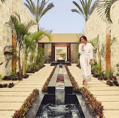Baja Wellness Journeys